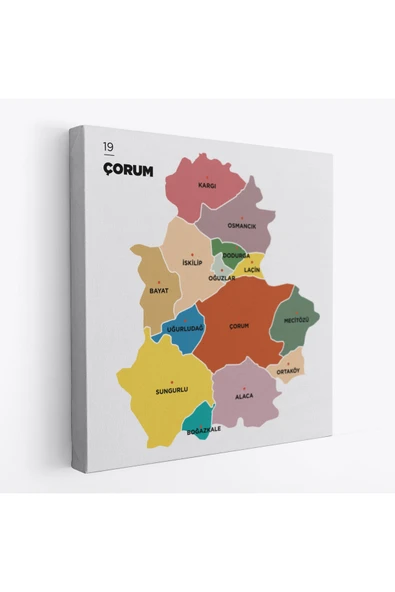 Trezon Çorum İli ve İlçeler Haritası Dekoratif Kanvas Tablo 1316 ürün görseli 1