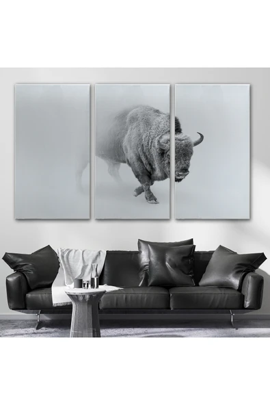 Trezon Bizon Dekoratif Kanvas Tablo 1160 - Resim 3
