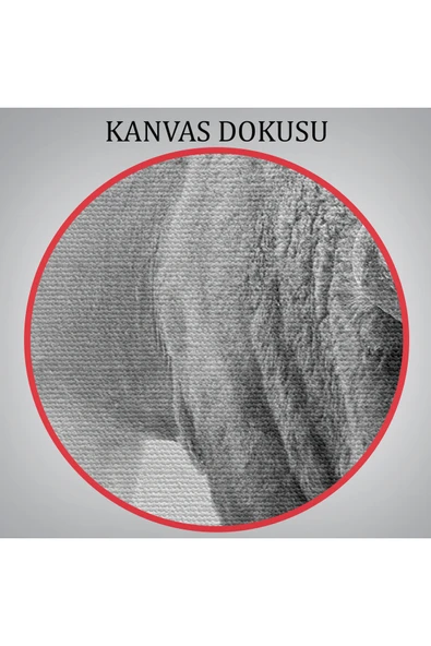 Trezon Bizon Dekoratif Kanvas Tablo 1160 - Resim 7