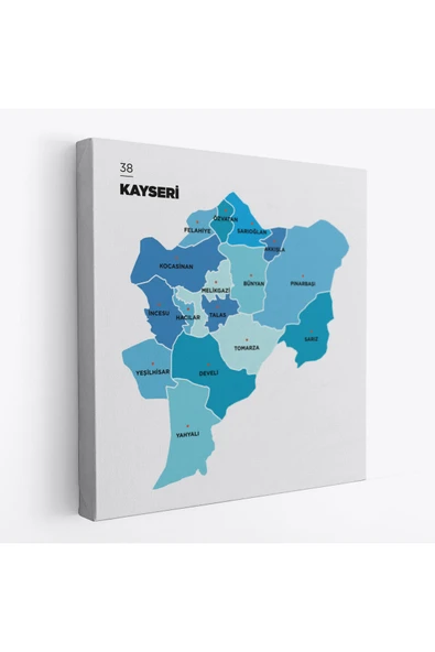 Trezon Kayseri İli ve İlçeler Haritası Dekoratif Kanvas Tablo 1387 ürün görseli 1
