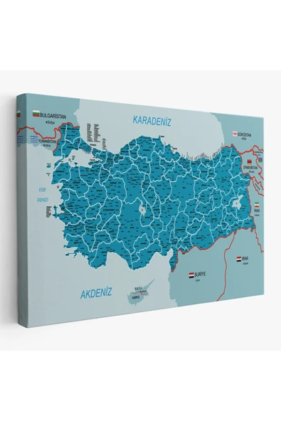 Trezon Türkiye Haritası Kanvas Tablo İl ve İlçeli Ayrıntılı Eğitici Komşulu Tablo 3003 ürün görseli 1