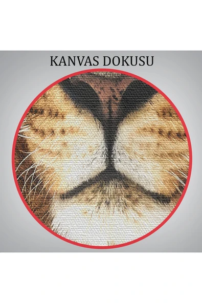 Trezon Aslan Dekoratif Kanvas Tablo-5966 - Resim 5
