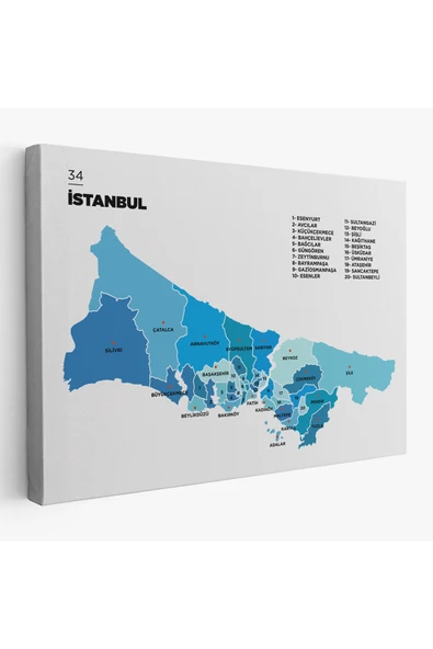Trezon İstanbul İli ve İlçeler Haritası Dekoratif Kanvas Tablo 1366 ürün görseli 1