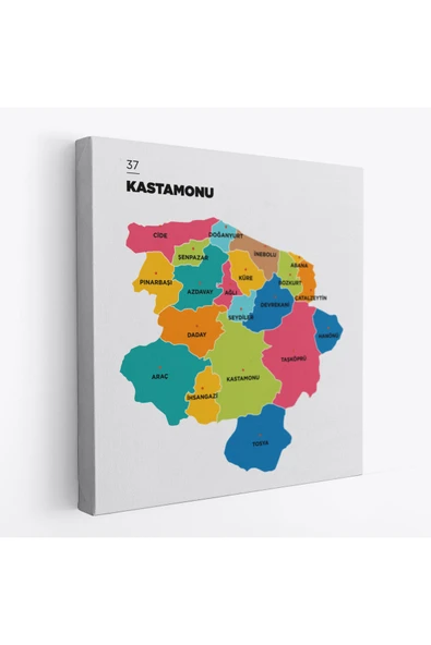 Trezon Kastamonu İli ve İlçeler Haritası Dekoratif Kanvas Tablo 1382 ürün görseli 1