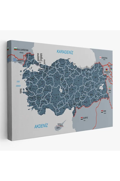 Trezon Türkiye Haritası Kanvas Tablo İl ve İlçeli Ayrıntılı Eğitici Komşulu Tablo 3009 ürün görseli 1