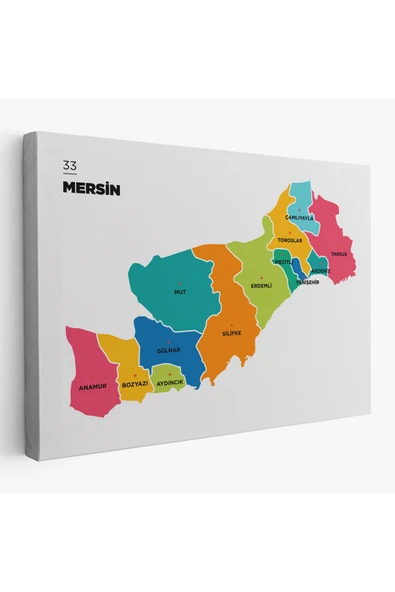Trezon Mersin İli ve İlçeler Haritası Dekoratif Kanvas Tablo 1418 ürün görseli 1
