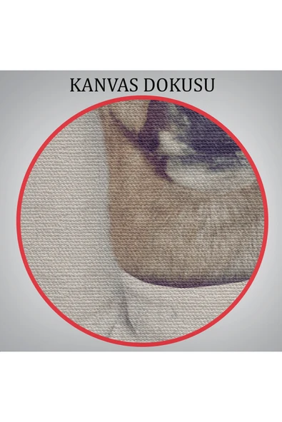 Trezon Ceylan Kafalı İnsan Kanvas Tablo-4983 - Resim 6
