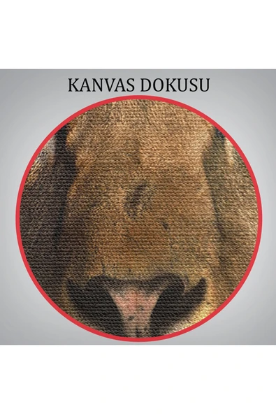 Trezon Aslan Dekoratif Kanvas Tablo-5847 - Resim 5