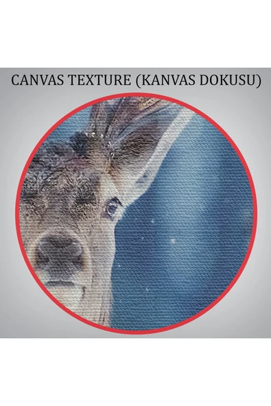 Trezon Geyik Dekoratif Kanvas Tablo 1168 - Resim 7