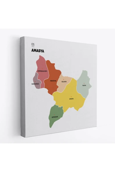 Trezon Amasya İli ve İlçeler Haritası Dekoratif Kanvas Tablo 1262 ürün görseli 1