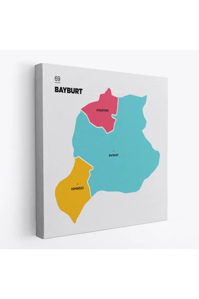 Trezon Bayburt İli ve İlçeler Haritası Dekoratif Kanvas Tablo 1288 ürün görseli 1