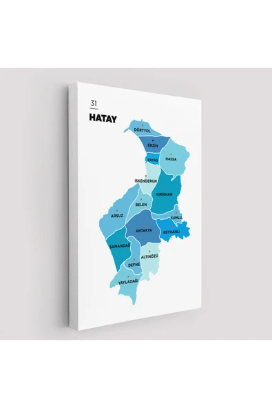 Trezon Hatay İli ve İlçeler Haritası Dekoratif Kanvas Tablo 1356 ürün görseli 1