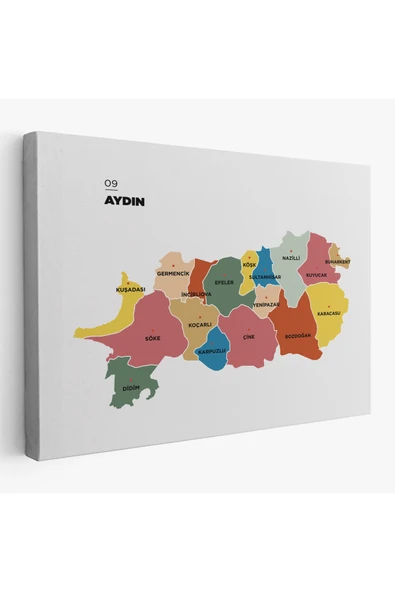 Trezon Aydın İli ve İlçeler Haritası Dekoratif Kanvas Tablo 1277 ürün görseli 1