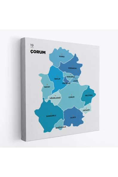 Trezon Çorum İli ve İlçeler Haritası Dekoratif Kanvas Tablo 1317 ürün görseli 1