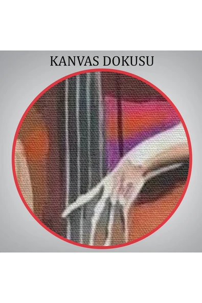 Trezon Çello Çalan Kadın Duvar Tablo-6167 - Resim 6