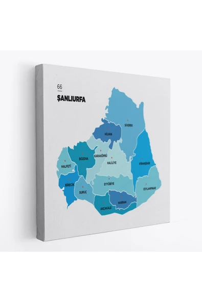 Trezon Şanlıurfa İli ve İlçeler Haritası Dekoratif Kanvas Tablo 1459 ürün görseli 1