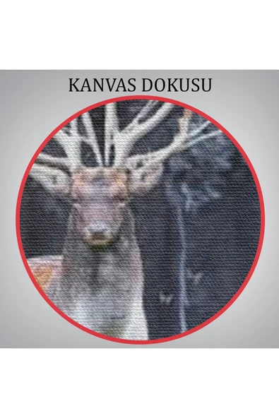 Trezon Ormandaki Geyik Tablosu-6566 - Resim 7