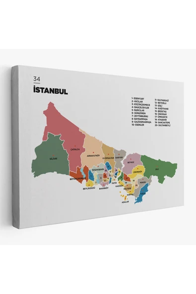 Trezon İstanbul İli ve İlçeler Haritası Dekoratif Kanvas Tablo 1365 ürün görseli 1