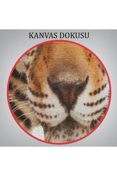 Trezon Vahşi Leopar Tablosu-5957 - Resim 5