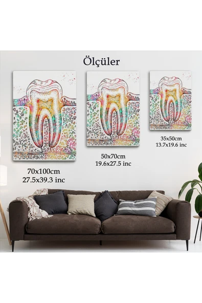 Trezon Diş Diyagramı Tablosu-6480 - Resim 5