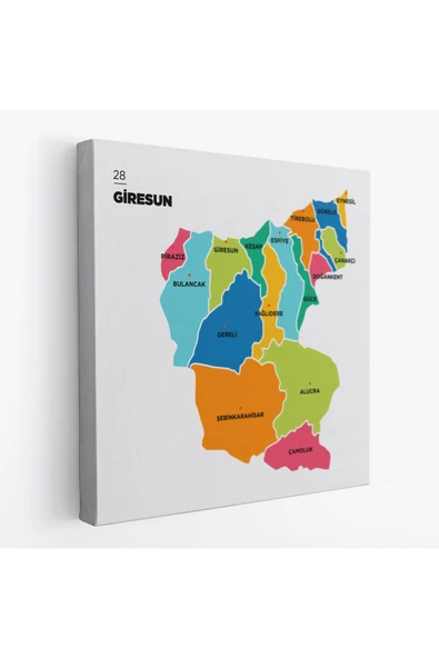 Trezon Giresun İli ve İlçeler Haritası Dekoratif Kanvas Tablo 1345 ürün görseli 1