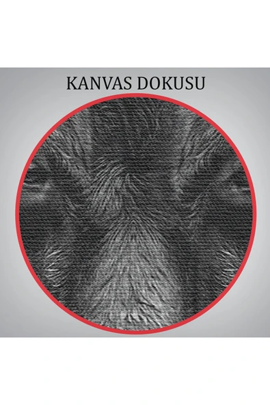 Trezon Boğa Dekoratif Kanvas Tablo-5809 - Resim 5