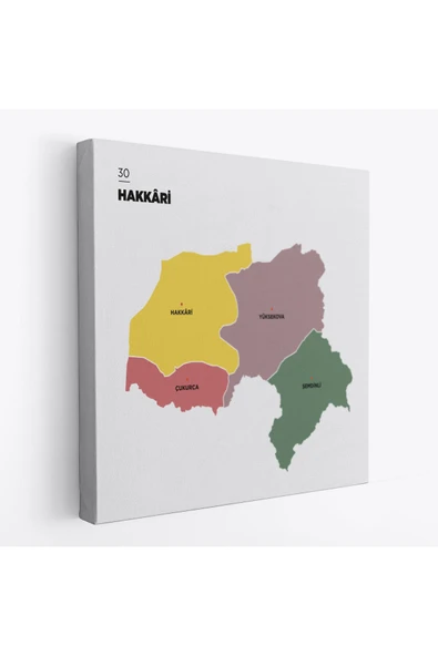 Trezon Hakkari İli ve İlçeler Haritası Dekoratif Kanvas Tablo 1352 ürün görseli 1