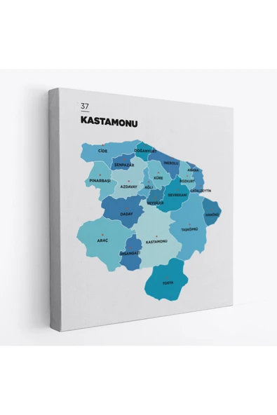 Trezon Kastamonu İli ve İlçeler Haritası Dekoratif Kanvas Tablo 1384 ürün görseli 1