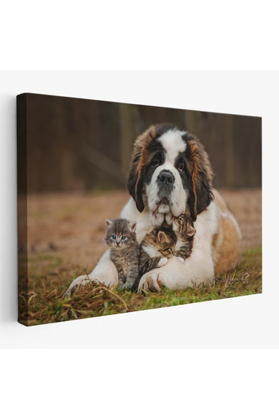 Trezon St. Bernard Köpek ve Yavru Kediler Dekoratif Kanvas Tablo 1124 ürün görseli 1