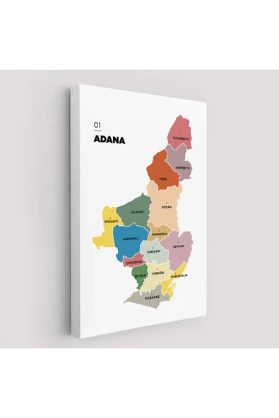 Trezon Adana İli ve İlçeler Haritası Dekoratif Kanvas Tablo 1246 ürün görseli 1