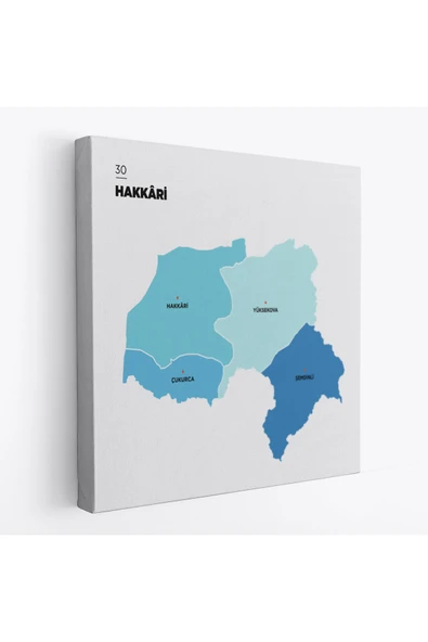 Trezon Hakkari İli ve İlçeler Haritası Dekoratif Kanvas Tablo 1353 ürün görseli 1