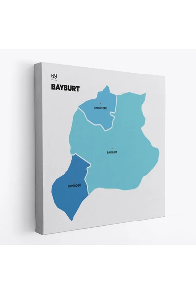 Trezon Bayburt İli ve İlçeler Haritası Dekoratif Kanvas Tablo 1290 ürün görseli 1