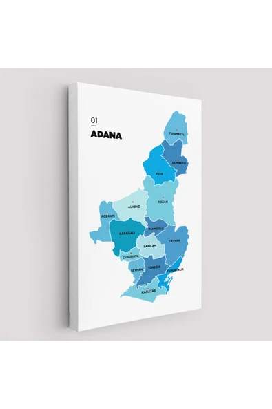 Trezon Adana İli ve İlçeler Haritası Dekoratif Kanvas Tablo 1247 ürün görseli 1