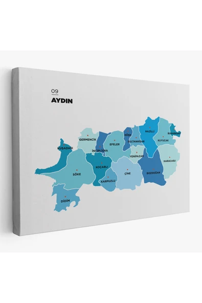 Trezon Aydın İli ve İlçeler Haritası Dekoratif Kanvas Tablo 1278 ürün görseli 1