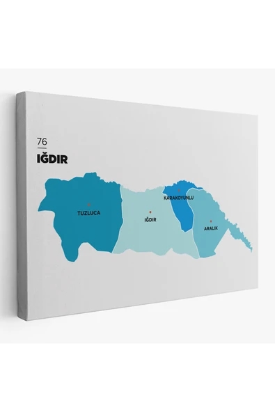 Trezon Iğdır İli ve İlçeler Haritası Dekoratif Kanvas Tablo 1359 ürün görseli 1