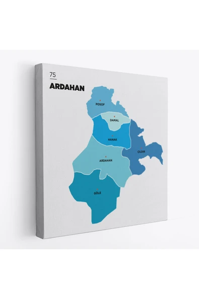 Trezon Ardahan İli ve İlçeler Haritası Dekoratif Kanvas Tablo 1272 ürün görseli 1