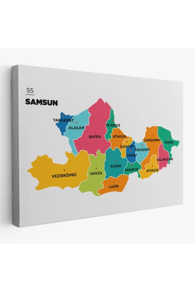 Trezon Samsun İli ve İlçeler Haritası Dekoratif Kanvas Tablo 1445 ürün görseli 1