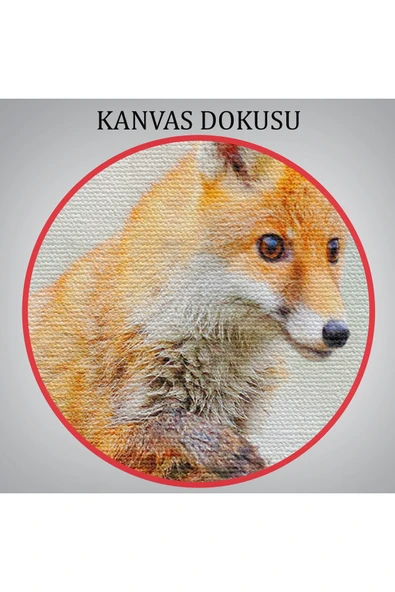Trezon Tilki Dekoratif Kanvas Tablo 1165 - Resim 7