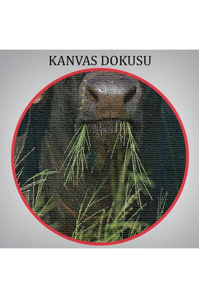 Trezon Asya Mandası Duvar Tablosu-6511 - Resim 5