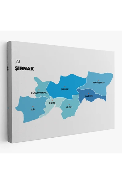 Trezon Şırnak İli ve İlçeler Haritası Dekoratif Kanvas Tablo 1462 ürün görseli 1
