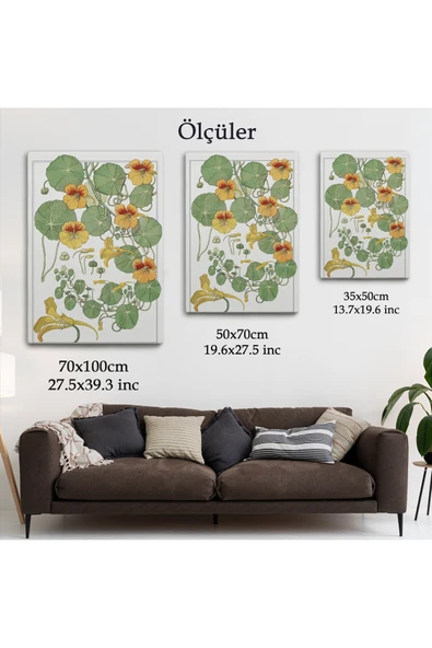 Trezon Nasturtium Çiçeği Kanvas Tablo-5206 - Resim 6
