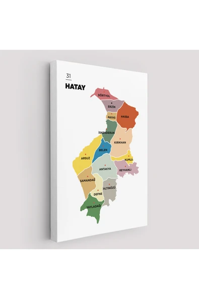 Trezon Hatay İli ve İlçeler Haritası Dekoratif Kanvas Tablo 1355 ürün görseli 1