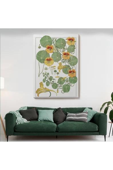 Trezon Nasturtium Çiçeği Kanvas Tablo-5206 - Resim 2