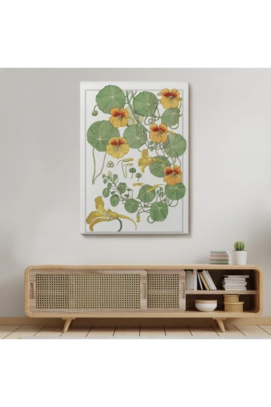 Trezon Nasturtium Çiçeği Kanvas Tablo-5206 - Resim 7