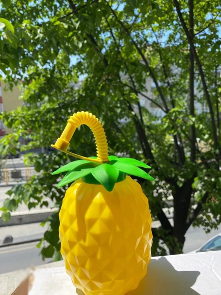 Ananas Pipetli Suluk - Resim 2