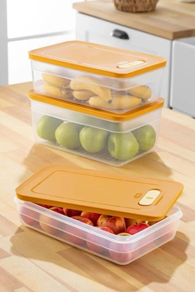 Tupper Model - Vakumlu - Mikrodalga Buzluk Saklama Kabı 3,8LT ürün görseli 1