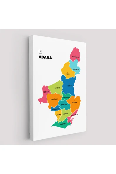 Trezon Adana İli ve İlçeler Haritası Dekoratif Kanvas Tablo 1248 ürün görseli 1