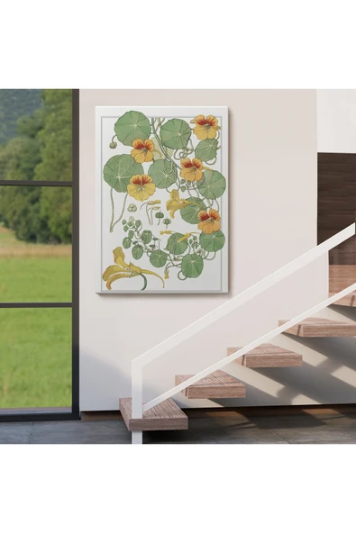 Trezon Nasturtium Çiçeği Kanvas Tablo-5206 - Resim 4