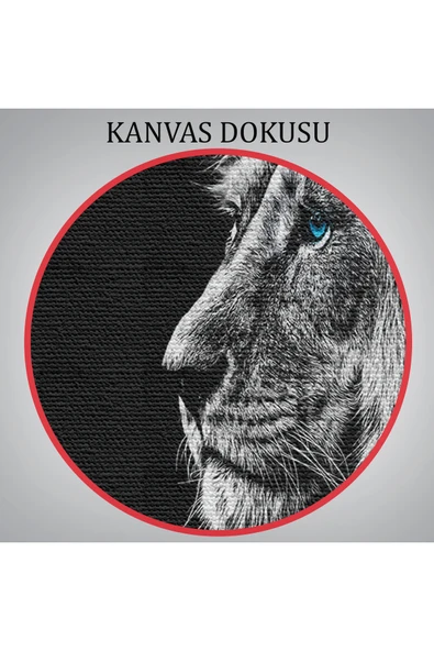 Trezon Aslan Dekoratif Kanvas Tablo 1153 - Resim 7