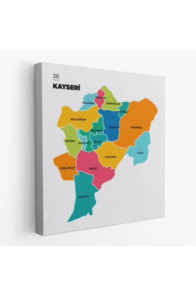 Trezon Kayseri İli ve İlçeler Haritası Dekoratif Kanvas Tablo 1385 ürün görseli 1